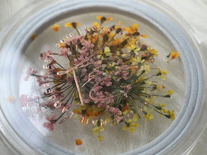 Dried Flowers - 6 colors to choose from