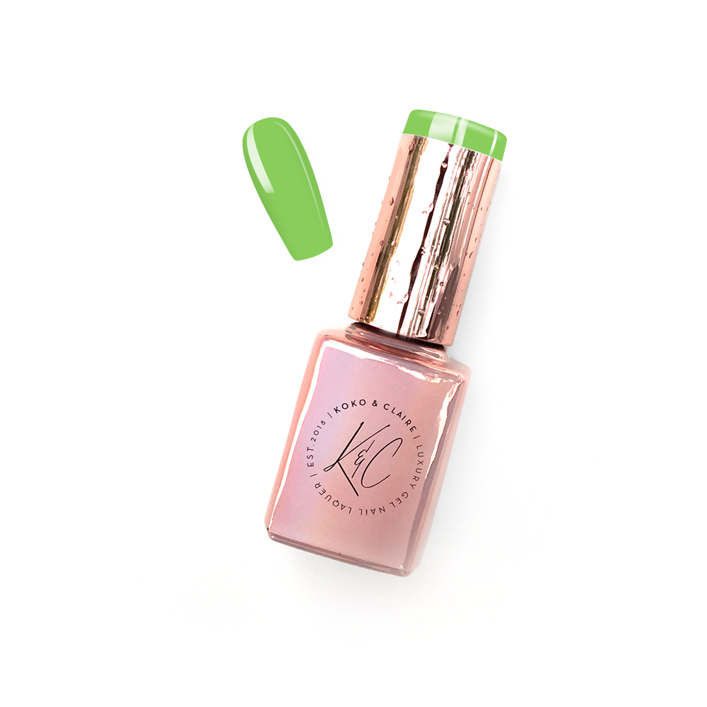 
                  
                    102 - Enlighten MINT
                  
                