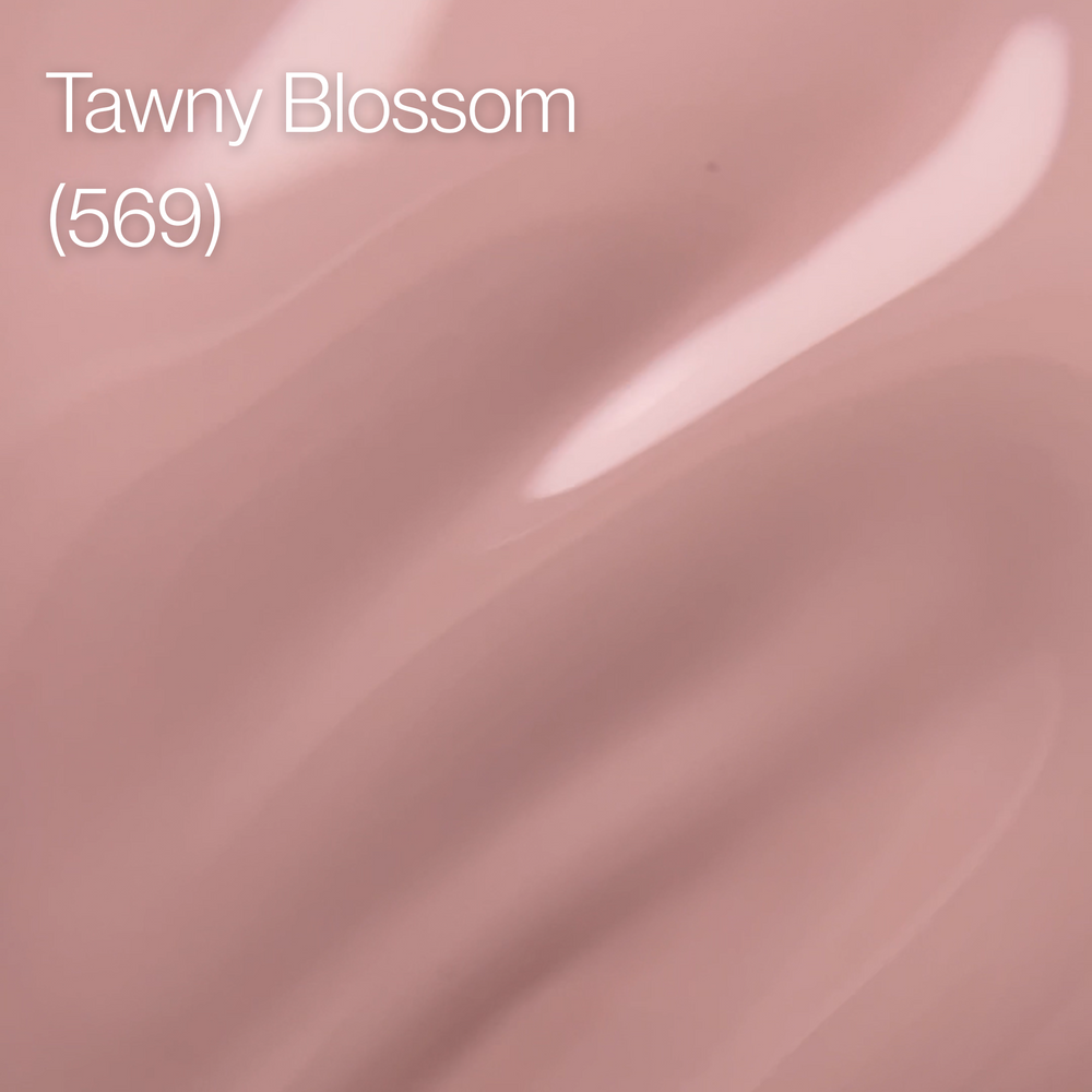 
                  
                    569 - Tawny Blossom - Hema Free
                  
                