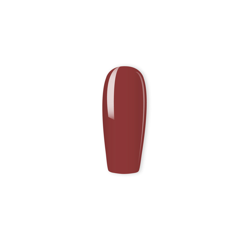 179 - Chocolate Dipped Raspberry